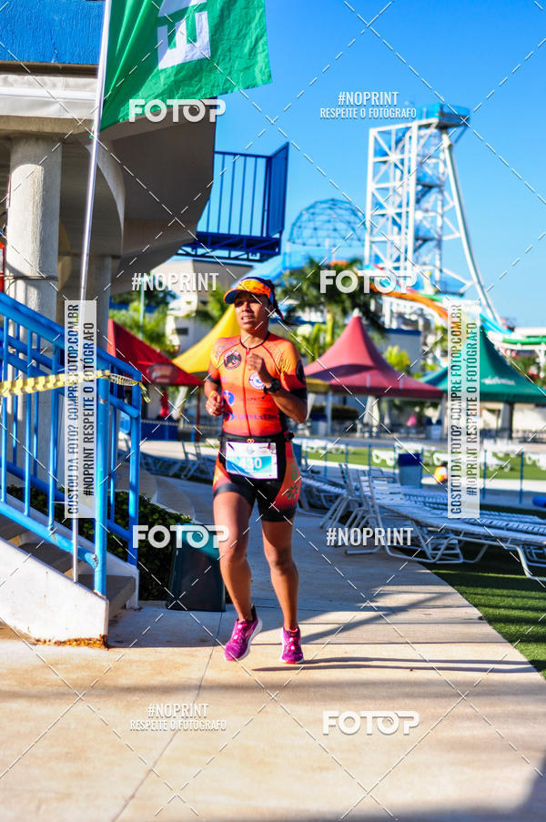 Buy your photos of the eventACQUAFEST WET�N WILD 2019 on Fotop