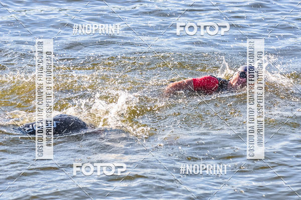 Buy your photos of the eventACQUAFEST WET�N WILD 2019 on Fotop