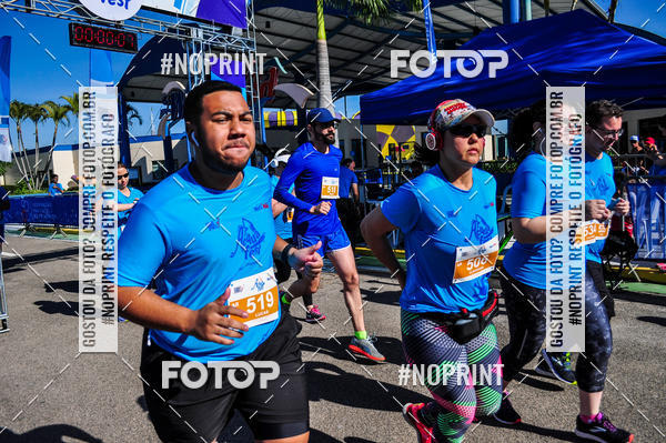 Buy your photos of the eventACQUAFEST WET�N WILD 2019 on Fotop