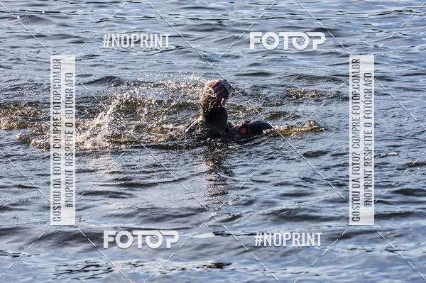 Buy your photos of the eventACQUAFEST WETN WILD 2019 on Fotop