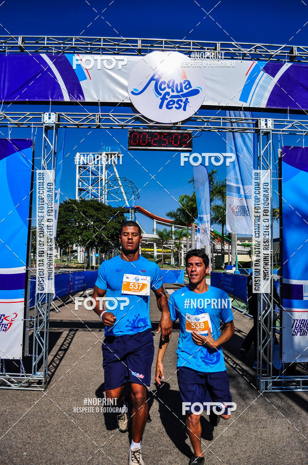 Buy your photos of the eventACQUAFEST WET�N WILD 2019 on Fotop