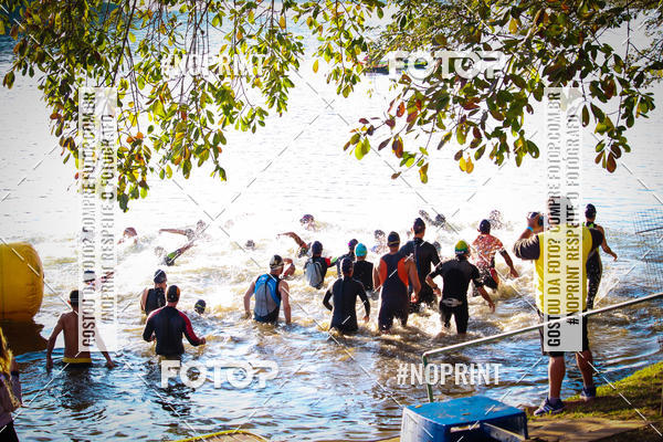 Buy your photos of the eventACQUAFEST WETN WILD 2019 on Fotop