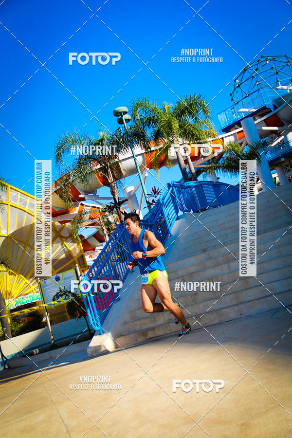 Buy your photos of the eventACQUAFEST WETN WILD 2019 on Fotop