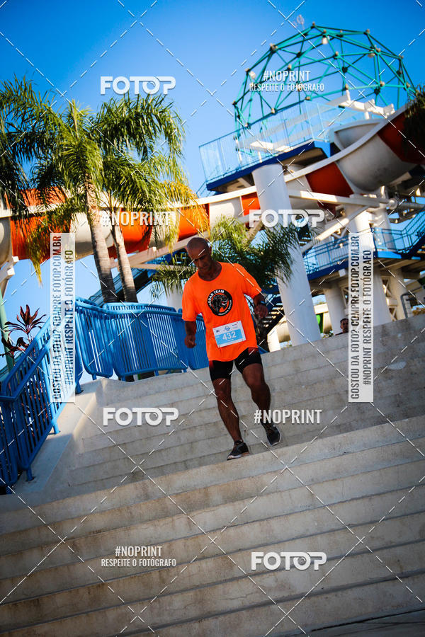 Buy your photos of the eventACQUAFEST WETN WILD 2019 on Fotop