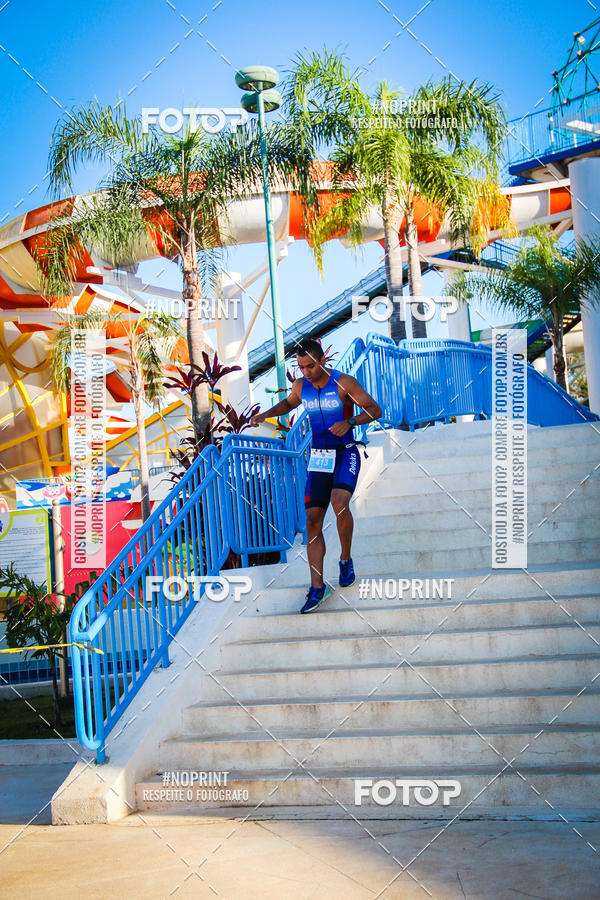Buy your photos of the eventACQUAFEST WETN WILD 2019 on Fotop