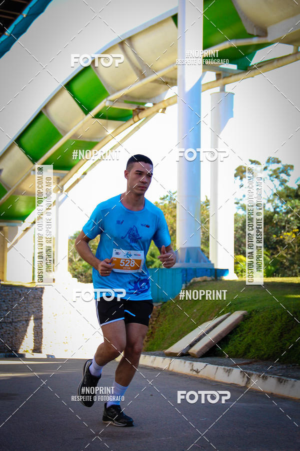Buy your photos of the eventACQUAFEST WETN WILD 2019 on Fotop