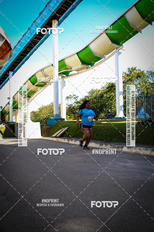 Buy your photos of the eventACQUAFEST WETN WILD 2019 on Fotop