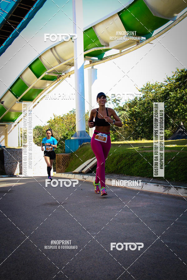 Buy your photos of the eventACQUAFEST WETN WILD 2019 on Fotop