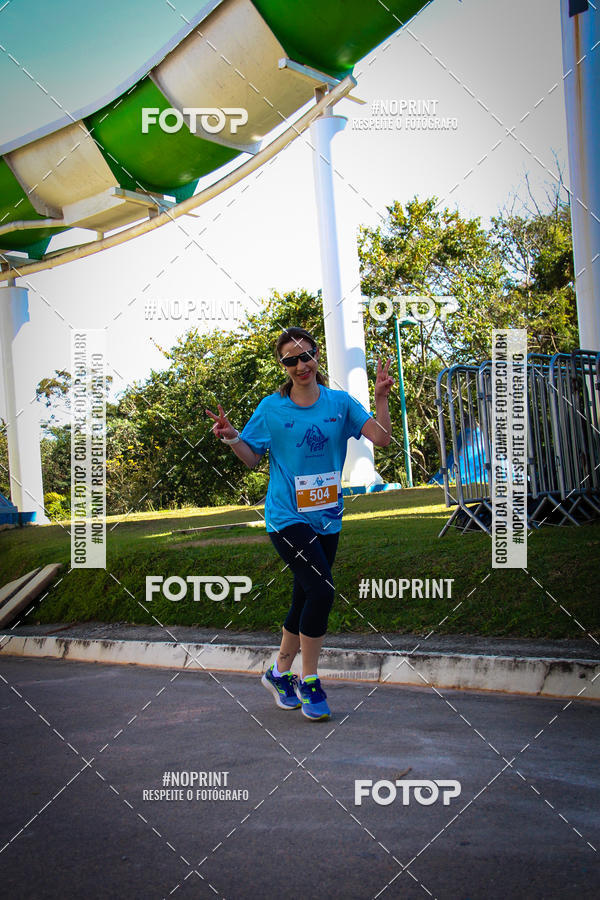 Buy your photos of the eventACQUAFEST WETN WILD 2019 on Fotop