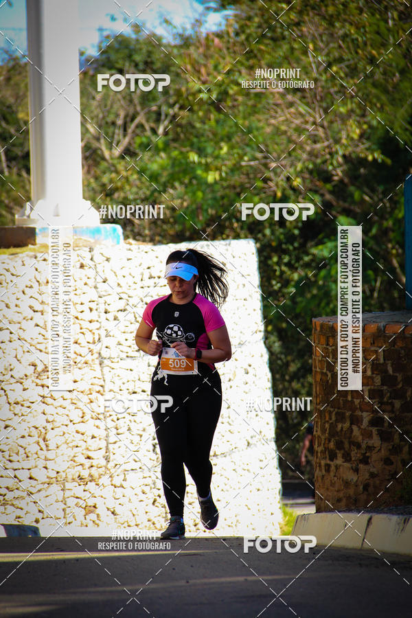 Buy your photos of the eventACQUAFEST WETN WILD 2019 on Fotop
