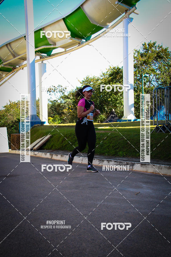 Buy your photos of the eventACQUAFEST WETN WILD 2019 on Fotop