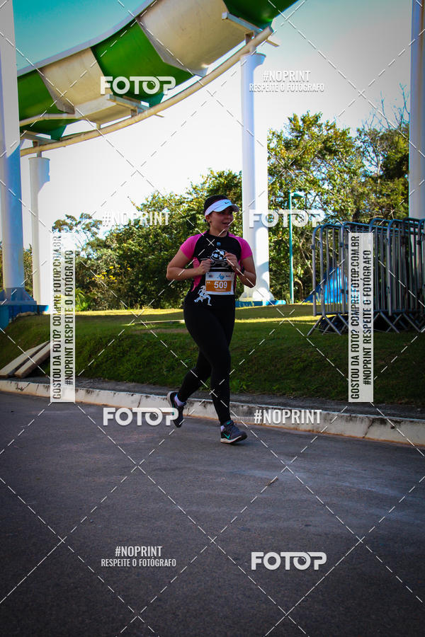 Buy your photos of the eventACQUAFEST WETN WILD 2019 on Fotop