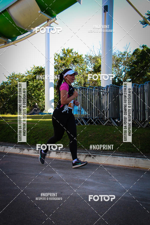 Buy your photos of the eventACQUAFEST WETN WILD 2019 on Fotop