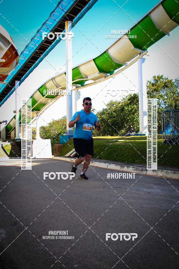Buy your photos of the eventACQUAFEST WETN WILD 2019 on Fotop