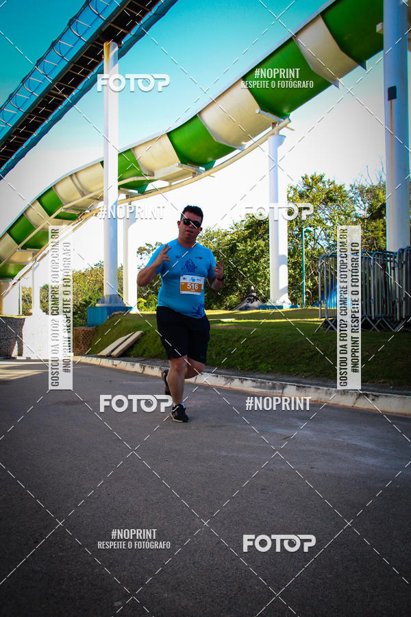 Buy your photos of the eventACQUAFEST WETN WILD 2019 on Fotop