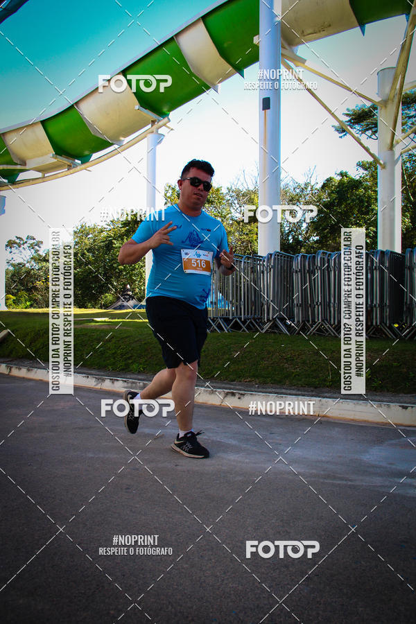 Buy your photos of the eventACQUAFEST WETN WILD 2019 on Fotop