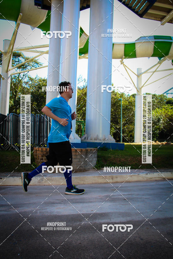 Buy your photos of the eventACQUAFEST WETN WILD 2019 on Fotop