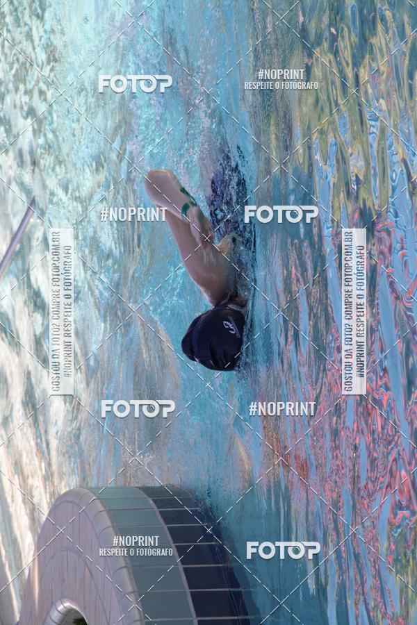 Buy your photos of the eventACQUAFEST WET�N WILD 2019 on Fotop