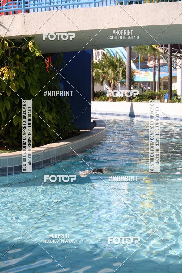 Buy your photos of the eventACQUAFEST WET�N WILD 2019 on Fotop