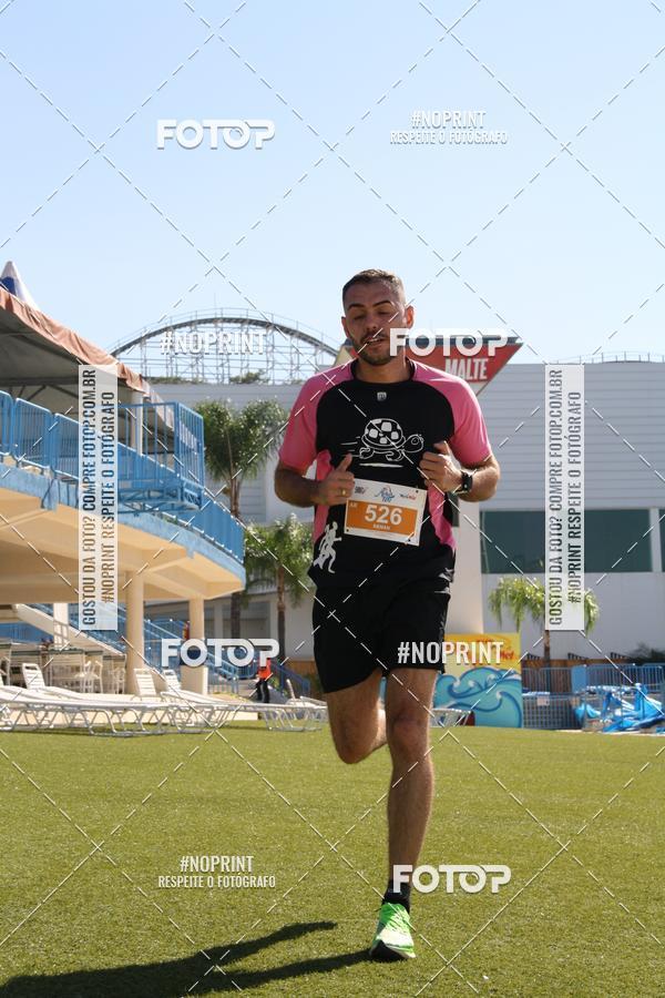 Buy your photos of the eventACQUAFEST WET�N WILD 2019 on Fotop