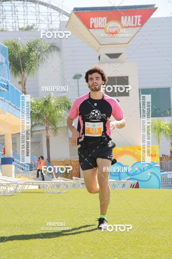 Buy your photos of the eventACQUAFEST WET�N WILD 2019 on Fotop