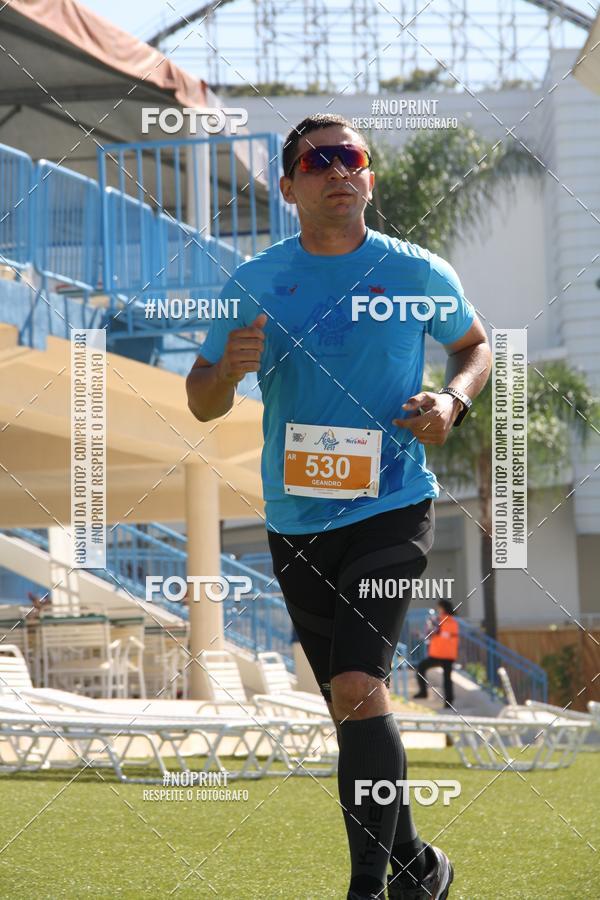 Buy your photos of the eventACQUAFEST WET�N WILD 2019 on Fotop