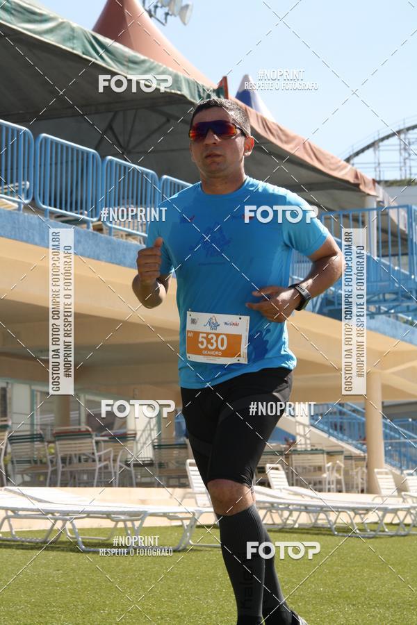 Buy your photos of the eventACQUAFEST WET�N WILD 2019 on Fotop