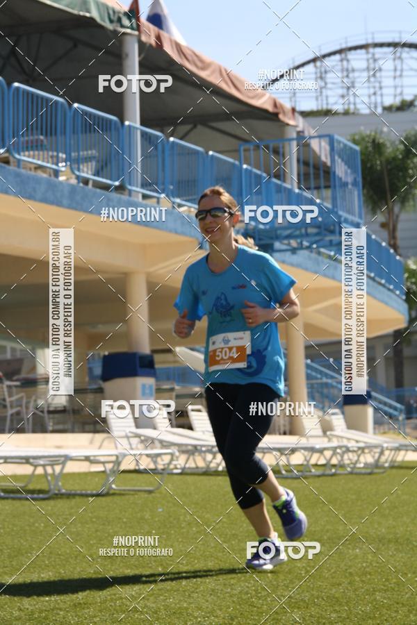 Buy your photos of the eventACQUAFEST WET�N WILD 2019 on Fotop