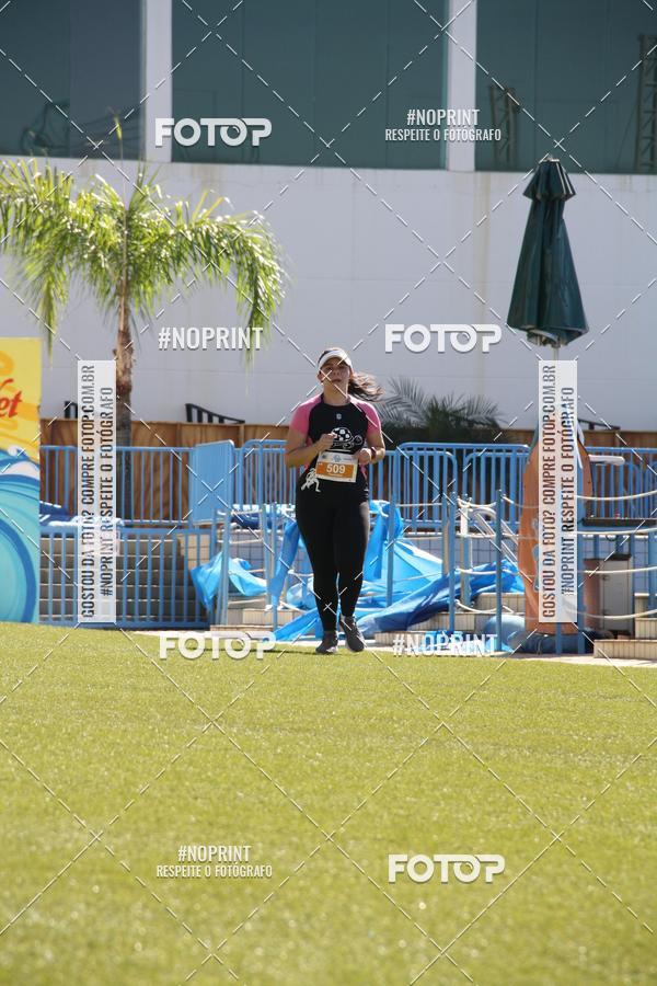 Buy your photos of the eventACQUAFEST WET�N WILD 2019 on Fotop