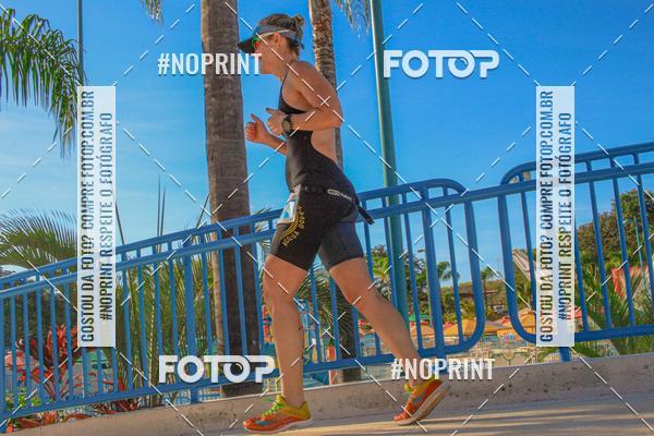 Buy your photos of the eventACQUAFEST WETN WILD 2019 on Fotop