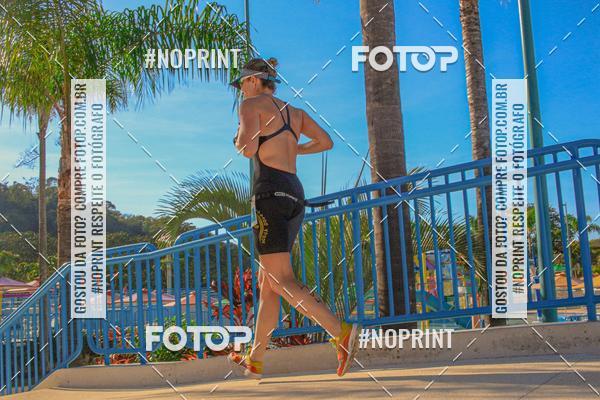 Buy your photos of the eventACQUAFEST WETN WILD 2019 on Fotop