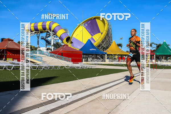 Buy your photos of the eventACQUAFEST WET�N WILD 2019 on Fotop