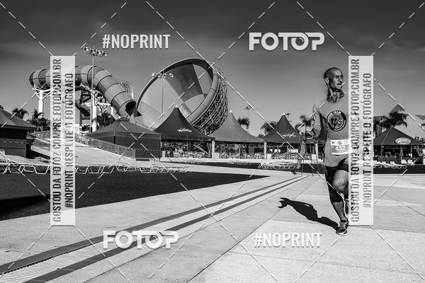 Buy your photos of the eventACQUAFEST WET�N WILD 2019 on Fotop