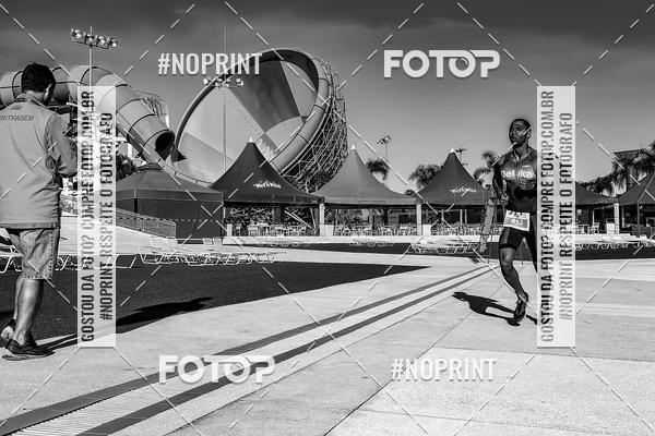 Buy your photos of the eventACQUAFEST WET�N WILD 2019 on Fotop