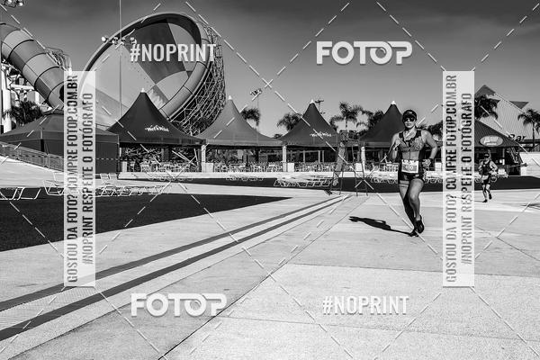 Buy your photos of the eventACQUAFEST WET�N WILD 2019 on Fotop