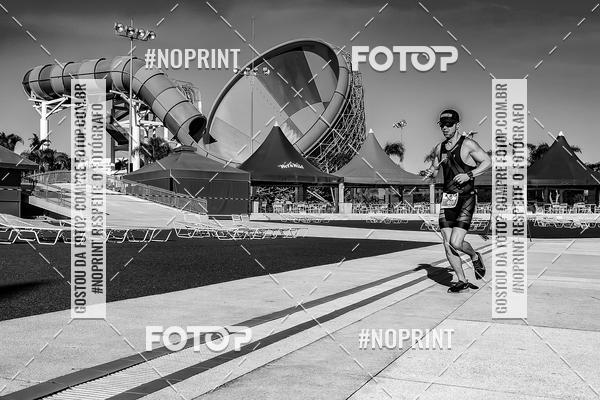 Buy your photos of the eventACQUAFEST WET�N WILD 2019 on Fotop