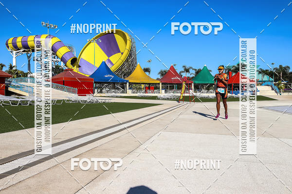 Buy your photos of the eventACQUAFEST WET�N WILD 2019 on Fotop