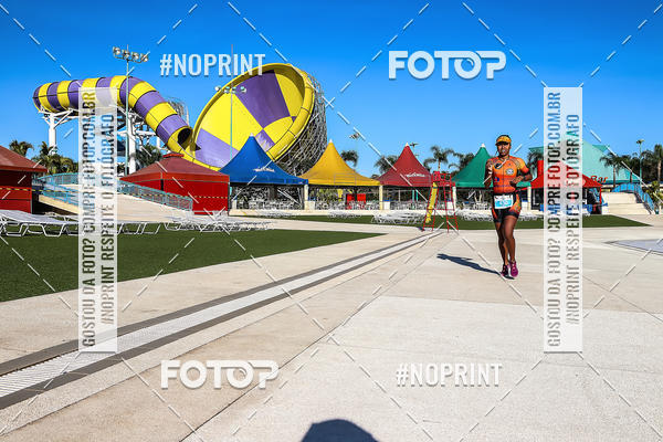 Buy your photos of the eventACQUAFEST WET�N WILD 2019 on Fotop