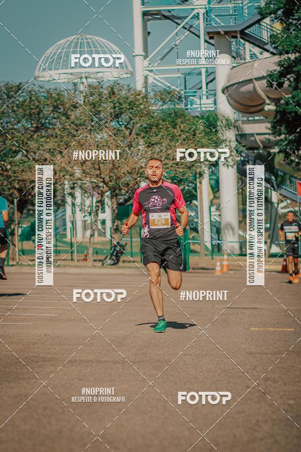 Buy your photos of the eventACQUAFEST WETN WILD 2019 on Fotop
