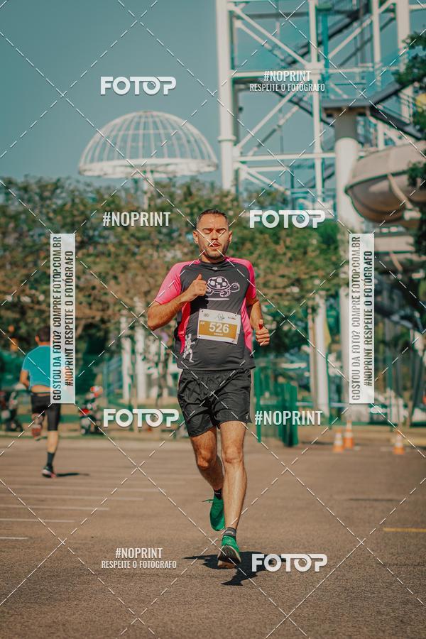 Buy your photos of the eventACQUAFEST WETN WILD 2019 on Fotop
