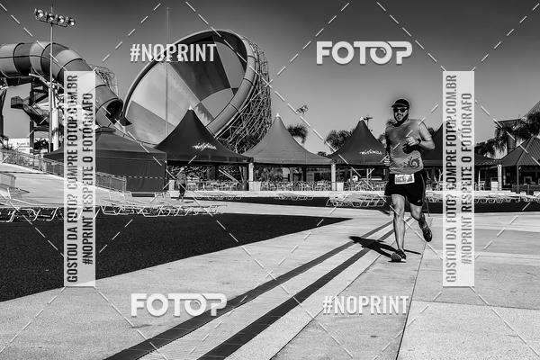 Buy your photos of the eventACQUAFEST WET�N WILD 2019 on Fotop