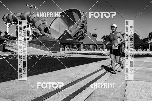 Buy your photos of the eventACQUAFEST WET�N WILD 2019 on Fotop