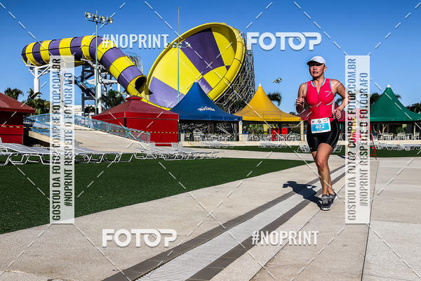 Buy your photos of the eventACQUAFEST WET�N WILD 2019 on Fotop