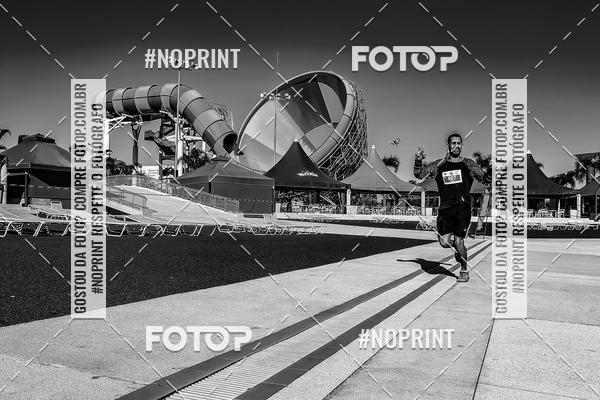 Buy your photos of the eventACQUAFEST WET�N WILD 2019 on Fotop