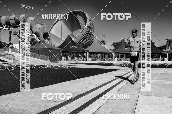 Buy your photos of the eventACQUAFEST WET�N WILD 2019 on Fotop