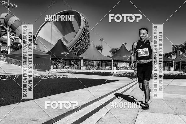 Buy your photos of the eventACQUAFEST WET�N WILD 2019 on Fotop