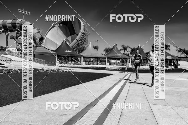 Buy your photos of the eventACQUAFEST WET�N WILD 2019 on Fotop