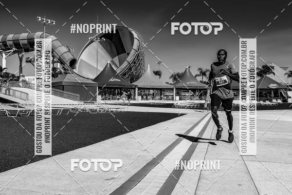 Buy your photos of the eventACQUAFEST WET�N WILD 2019 on Fotop