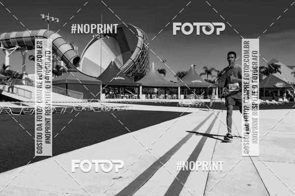 Buy your photos of the eventACQUAFEST WET�N WILD 2019 on Fotop