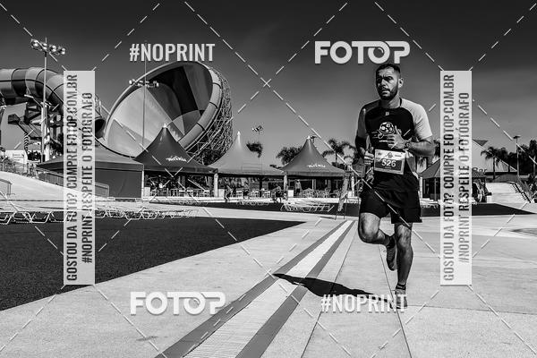 Buy your photos of the eventACQUAFEST WET�N WILD 2019 on Fotop